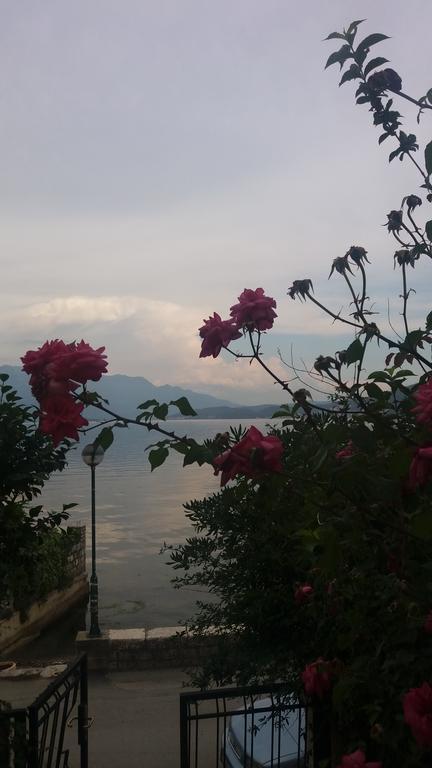 Apatments Stanojlovic Djenovic Appartement Herceg Novi Buitenkant foto