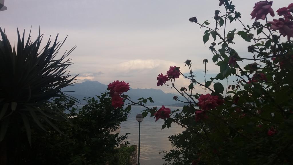 Apatments Stanojlovic Djenovic Appartement Herceg Novi Buitenkant foto